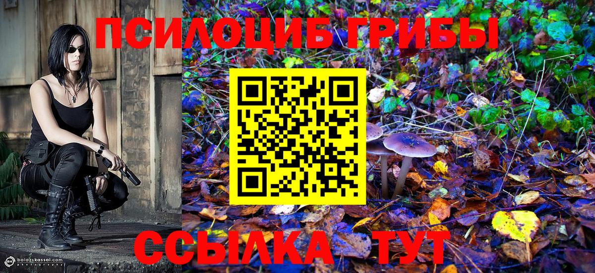 Псилоцибиновые грибы Cubensis Кушва