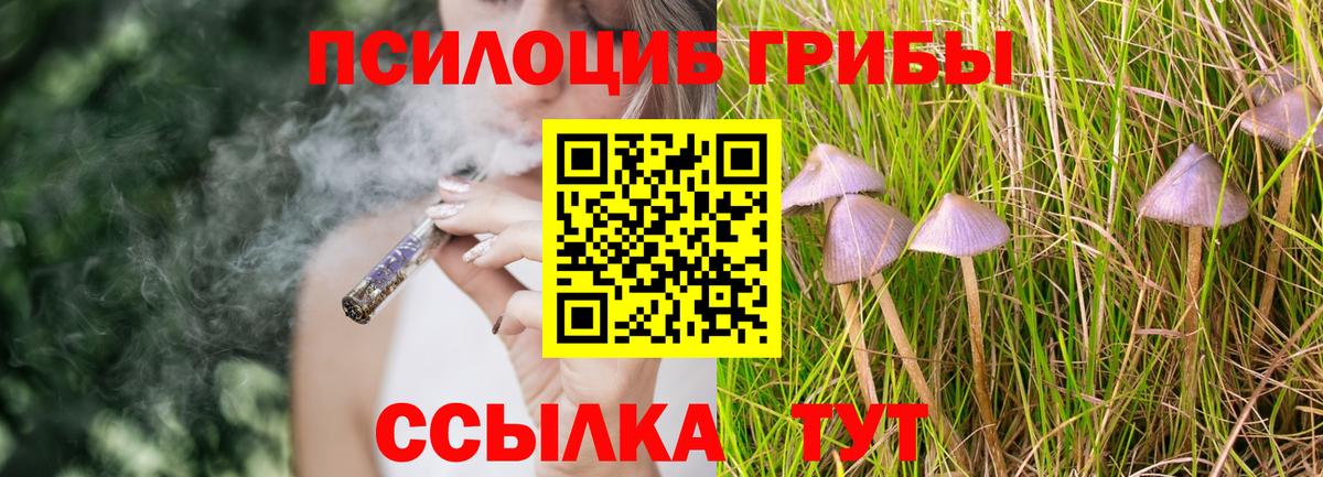 Псилоцибиновые грибы Cubensis  Вход с VPN  Кушва  Галлюциногенные грибы Psilocybe 